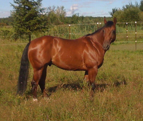 gunner2010.jpg